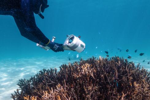 $27m for Ningaloo, reef research