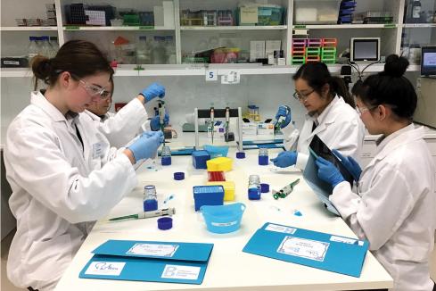 Closing the STEM gap – girls combine their passion for Maths and Science in ground-breaking medical research program