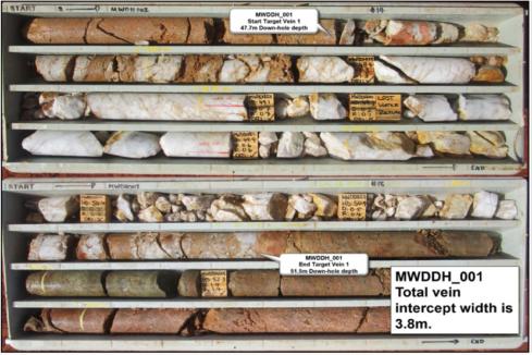 Native Minerals extends high-grade WA gold target at depth