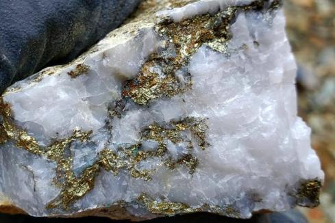 Old data confirms bonanza gold in Comet Mexican project