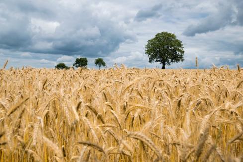 WA farmland changes ownership