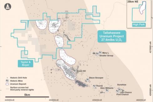 Okapi tables maiden USA uranium resource 