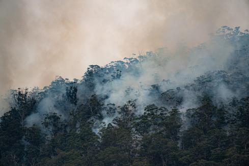 Govt awards $62m contract to control bushfires