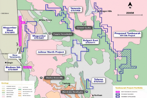 Tambourah swells nickel-copper-PGE tenure in WA