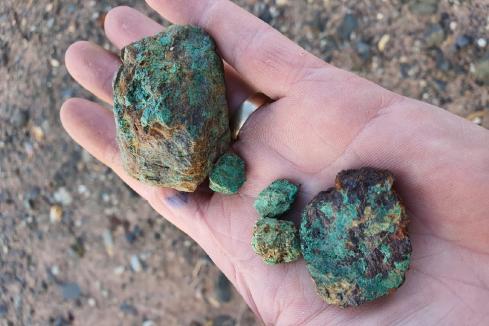 Emu homes in on WA nickel-copper-PGM exploration targets