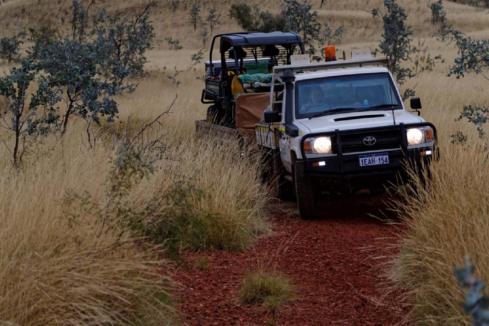 Novo set to plough 20,000m of drilling into Pilbara ground 