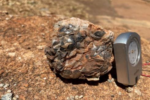 Aldoro hits pegmatites in WA lithium hunt