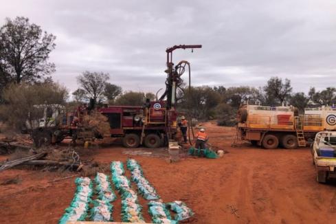 Panther passes halfway mark in maiden WA nickel drilling
