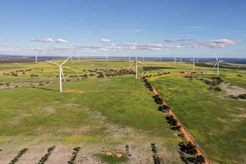 Fortescue moves on huge Pilbara green power plans