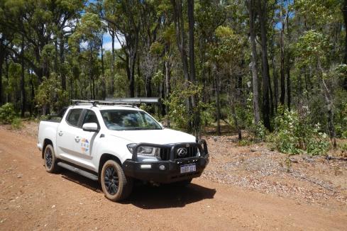 Emu confirms primary nickel sulphides in WA