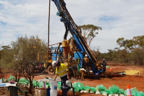 Surefire grows mineralised footprint with WA gold hit