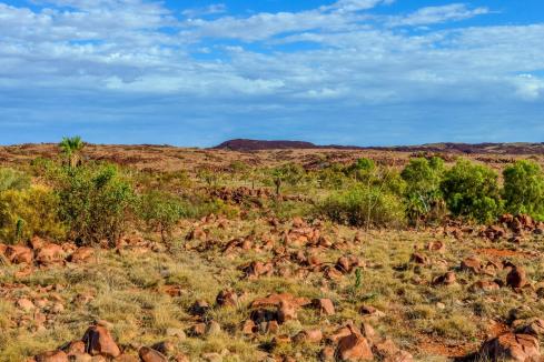 WA leads the pack for mining investment 