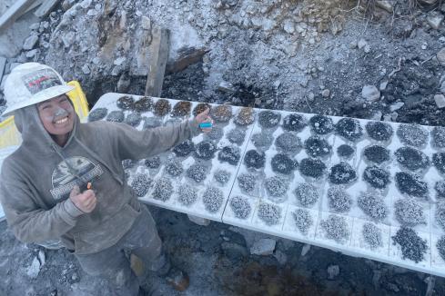 PolarX spies encouraging US gold-silver mineralisation