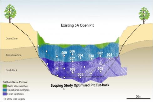 Nickel results back Estrella bid to fast-track mining