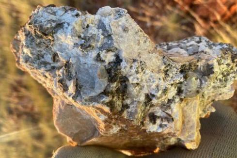Tambourah surges 84 per cent on pegmatite find