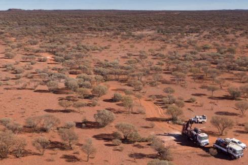 Si6 Metals strikes high-grade gold in outback WA