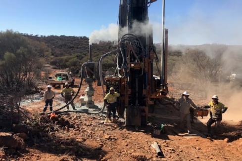 Venus set for drill campaign at Murchison lithium project