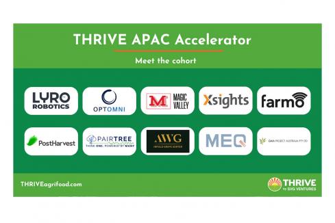 Xsights selected to join SVG Ventures | Thrive APAC Accelerator