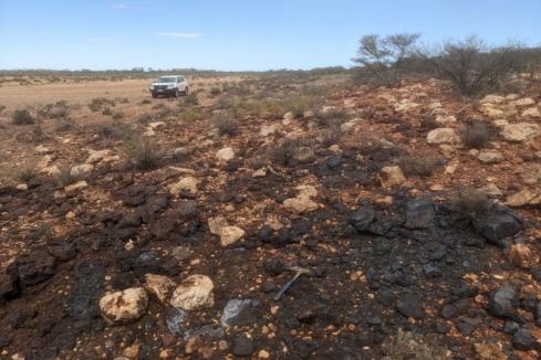 Strickland set to target WA base metals project