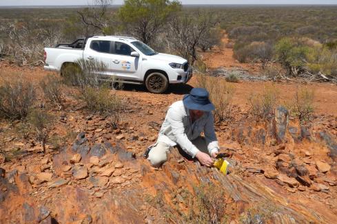Emu hails discovery of new WA rare earths region