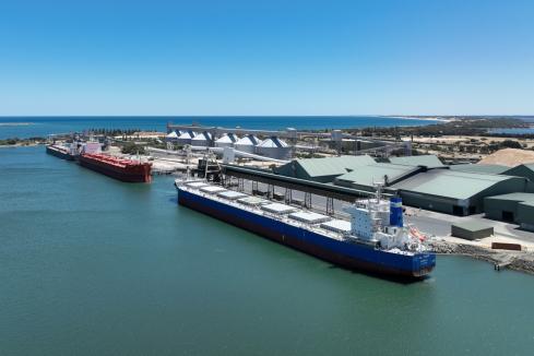 TAMS wins Southern Ports contracts