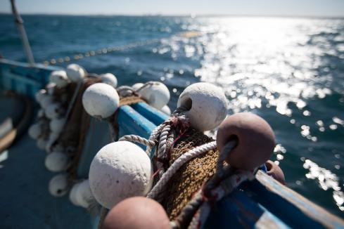 Fishing charter ban backpedalled 