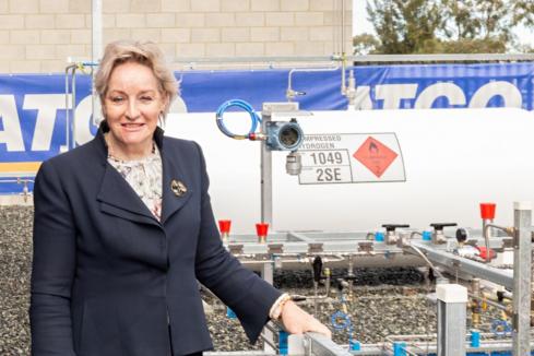 Project plight highlights hydrogen’s challenge