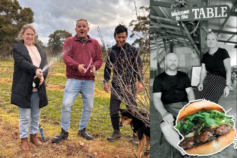 ‘Bogan’ truffles whet modern foodie appetites