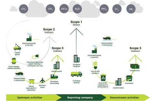 SMEs brace for supply chain revolution: The decarbonisation game-changer