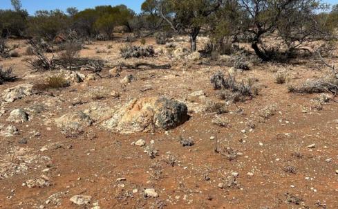Estrella on trail of pegmatite paradise in Goldfields