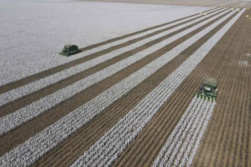 Global ag giant to acquire Namoi Cotton