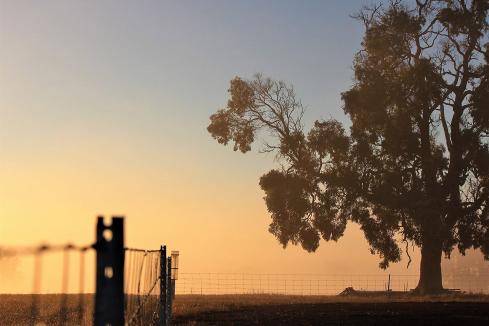 Biggest WA farm sales this year