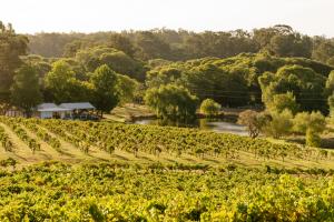 LVMH sells Australian winery Cape Mentelle to Endeavour Group