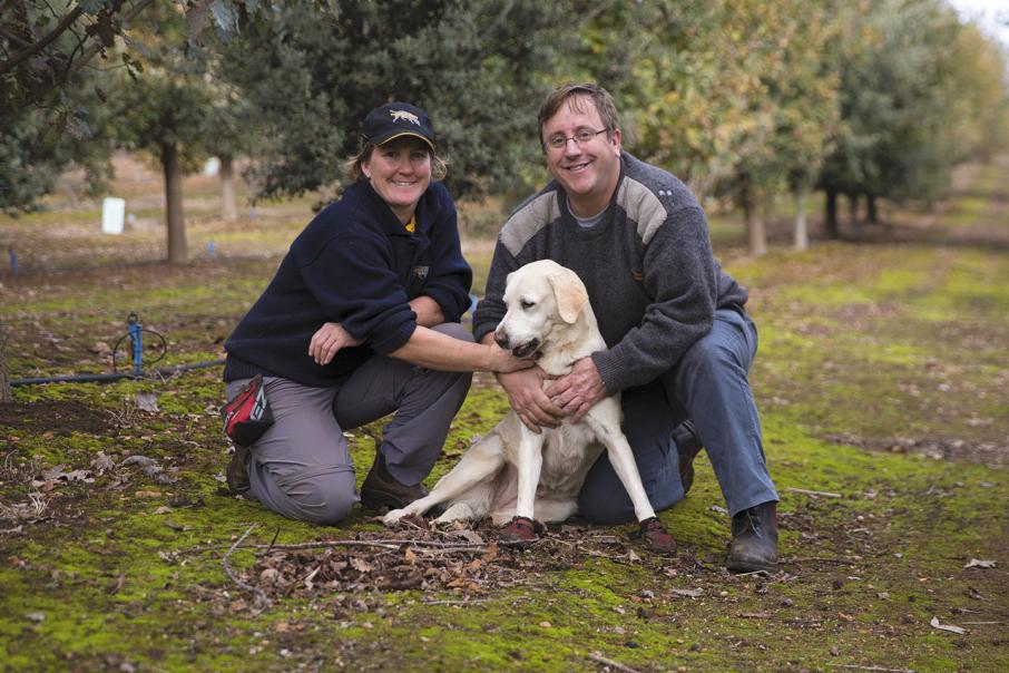 Consistent quality key for WA truffles