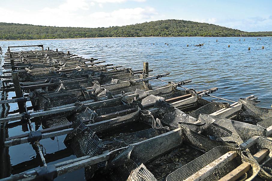 Opportunities to grow aquaculture industry