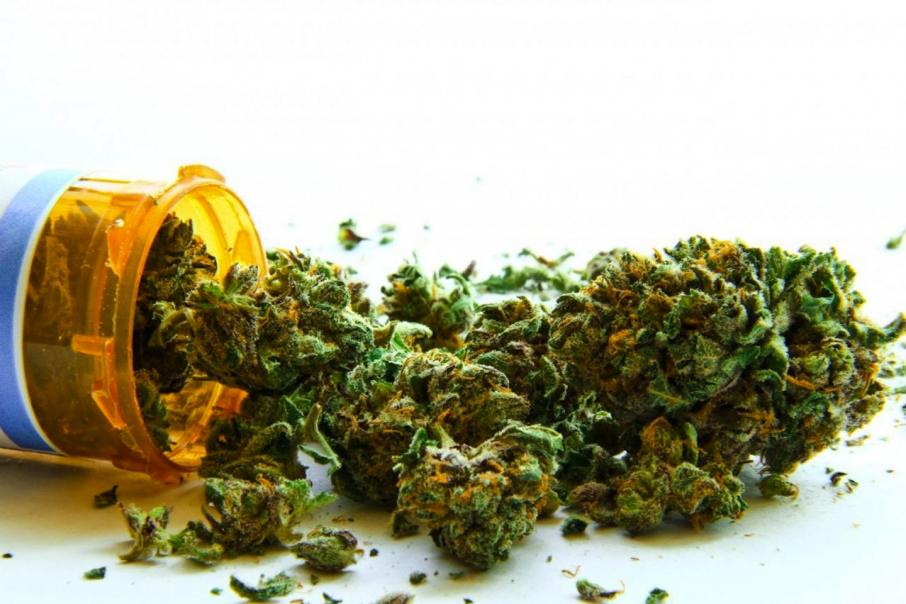 Marijuana to be trialled in epilepsy patients 
