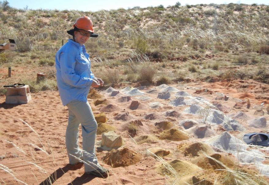 Sipa shares jump 30% on potential new copper gold discovery in WA