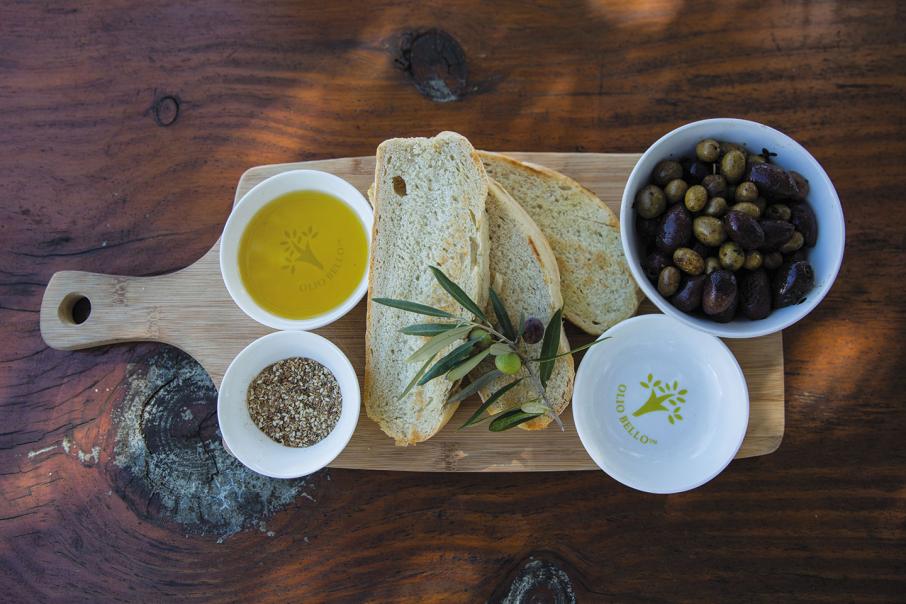 Olive oil ecotourism opportunity