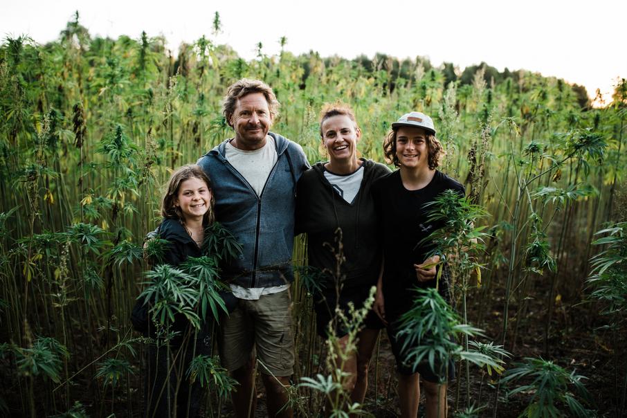 Versatile hemp plant offers growth potential