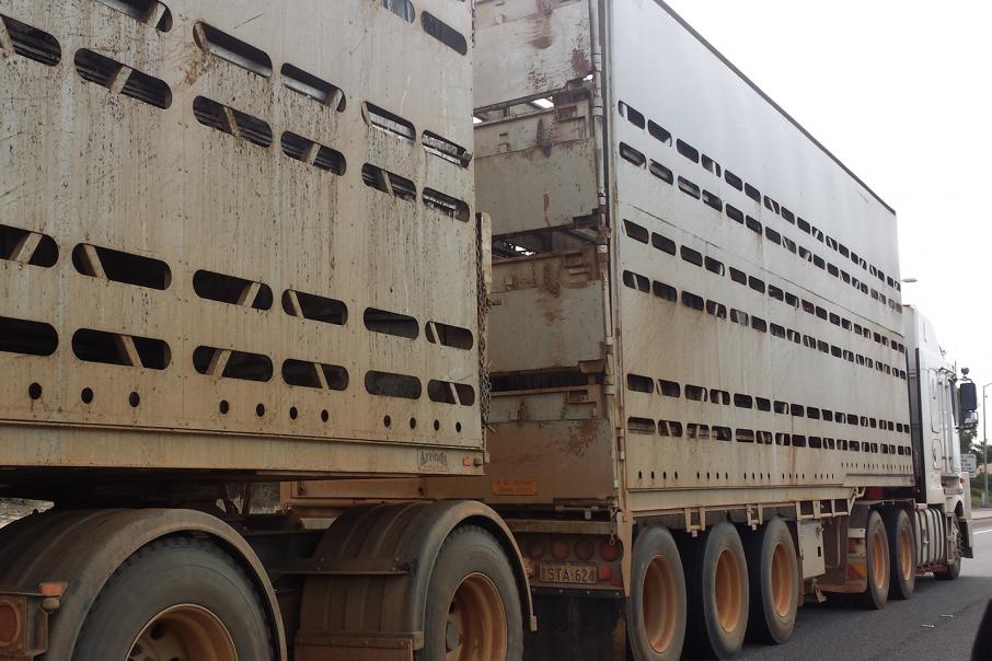 Govt suspends second live export licence 