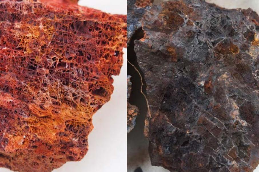 More notable copper/gold rock chips for Hammer in Qld
