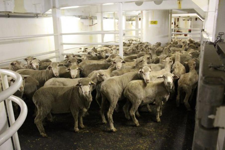 Live export summer ban approved