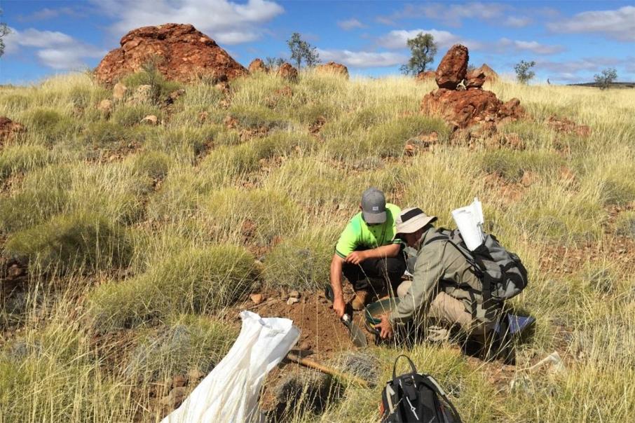 Further gold excitement for Kairos in the Pilbara 