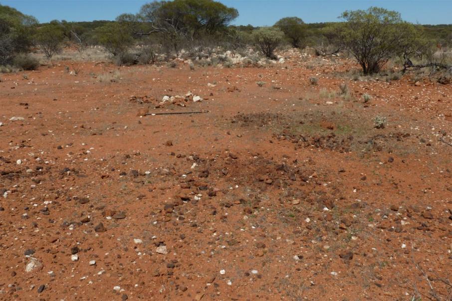 Promising new nickel targets for St George in WA 