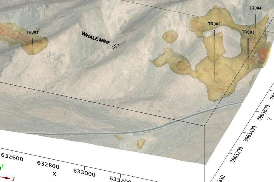 Tyranna maps out cobalt/base metal targets in Nevada