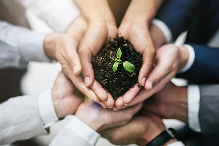 Green tips to introduce CSR to your organisation