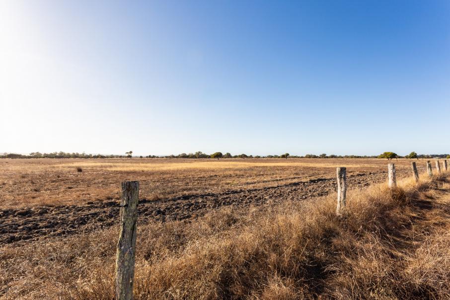 WA crop area to be lowest in years 