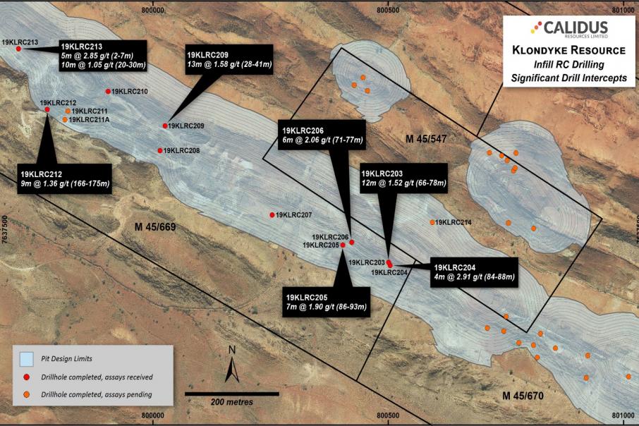 Infill drilling results grow Warrawoona for Calidus 