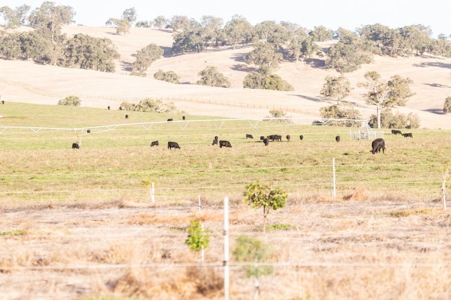 ACCC flags Landmark-Ruralco merger concern