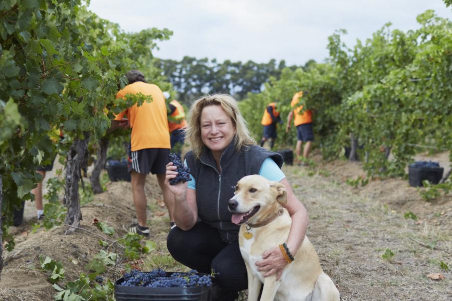 Margaret River wineries recognised at Halliday awards